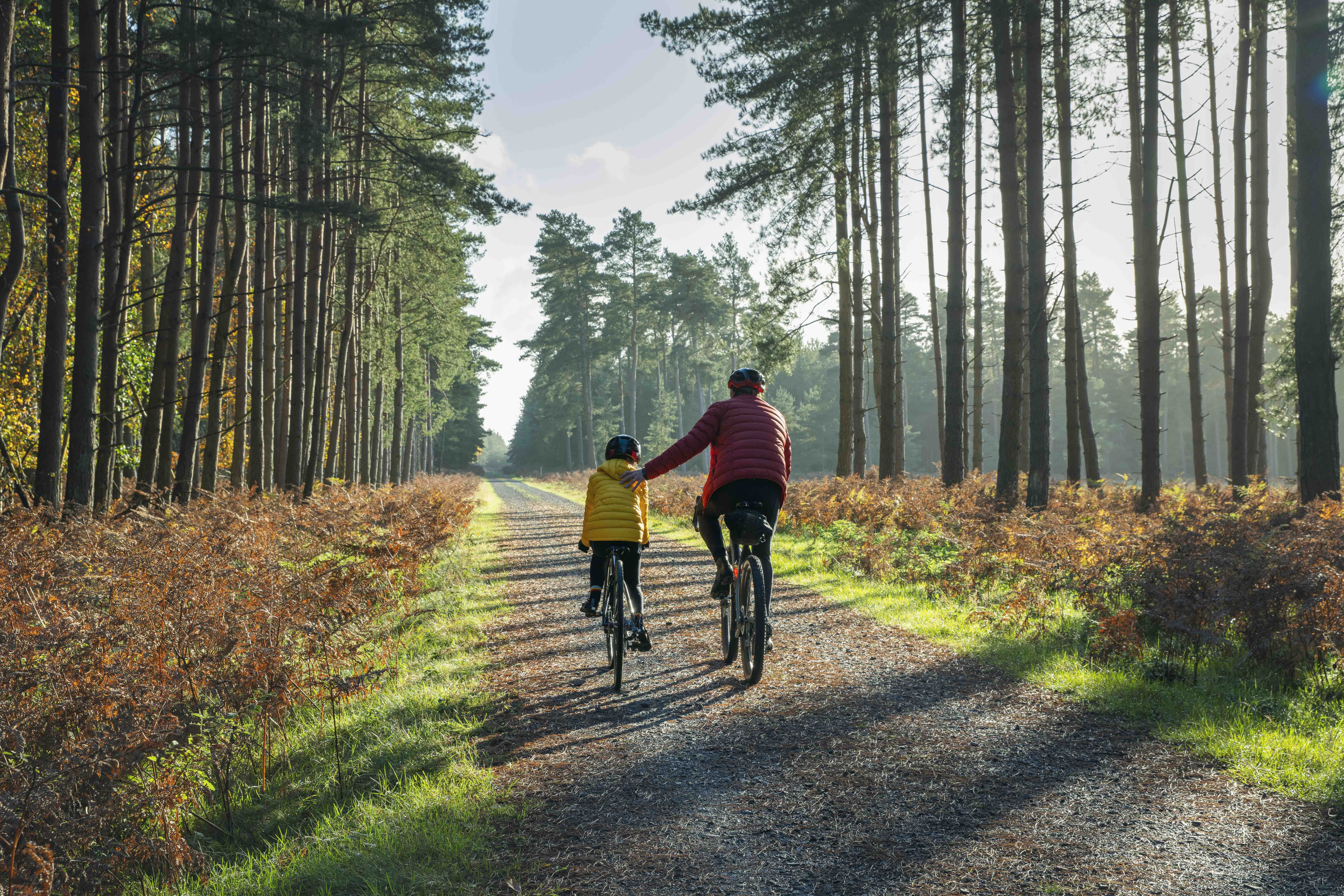 Rear View Of A Young Girl Cycling In The Forest With Her Father On A Beautiful Autumnal Sunny Day